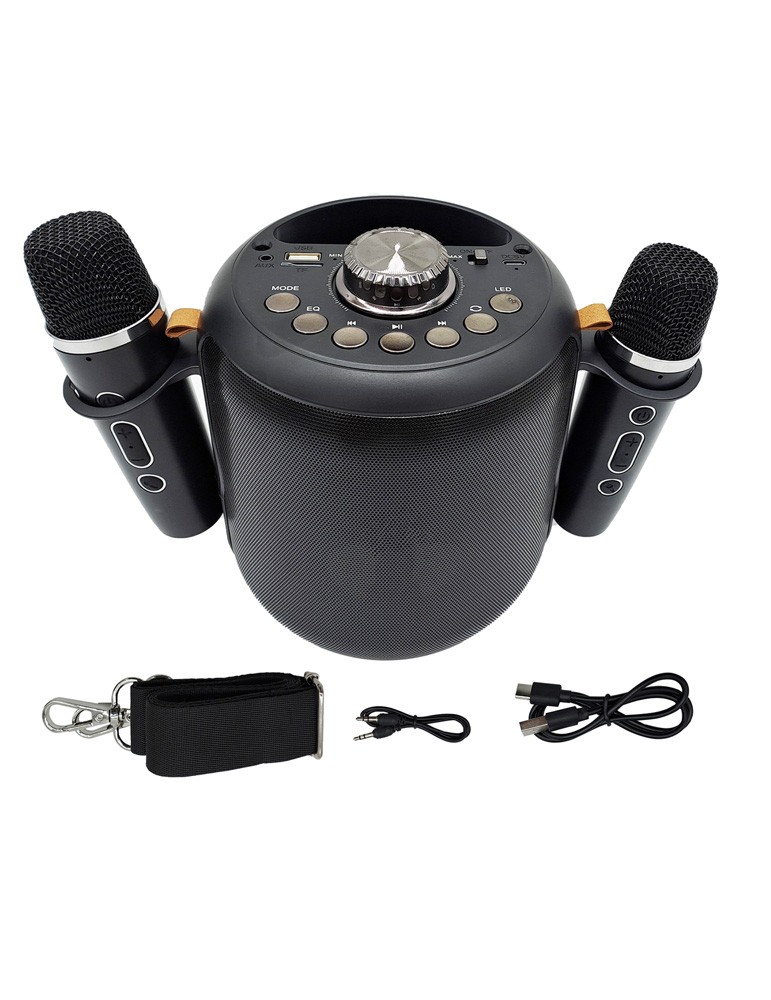 Cassa portatile bluetooth con 2 microfoni
