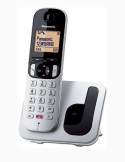 PANASONIC Cordless C250JTS con Vivavoce