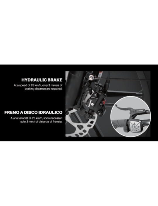 Fat Bike Elettrica Victrip T5 48V 750W