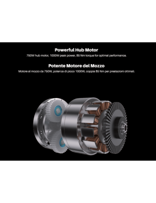 Fat Bike Elettrica Victrip T5 48V 750W