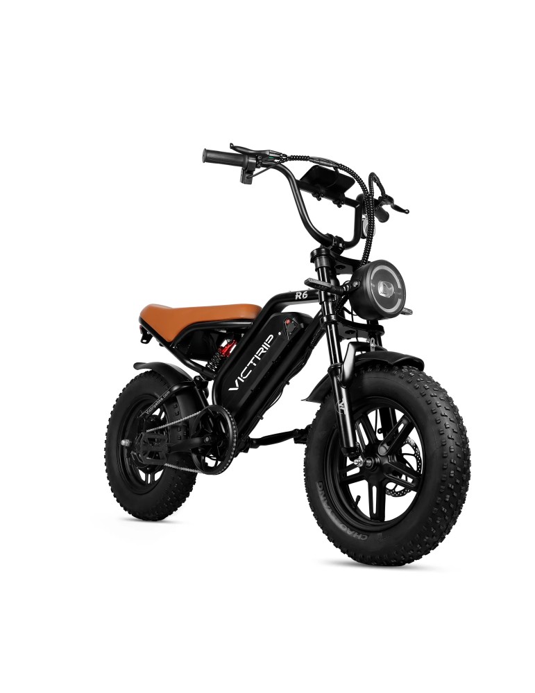 FAT BIKE VICTRIP R6
