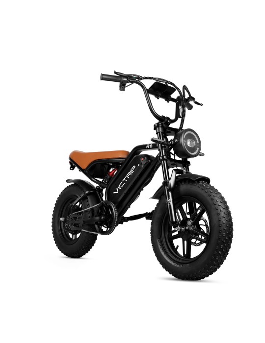 FAT BIKE VICTRIP R6
