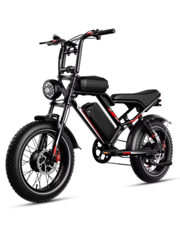 FAT BIKE S/8 48V 18AH