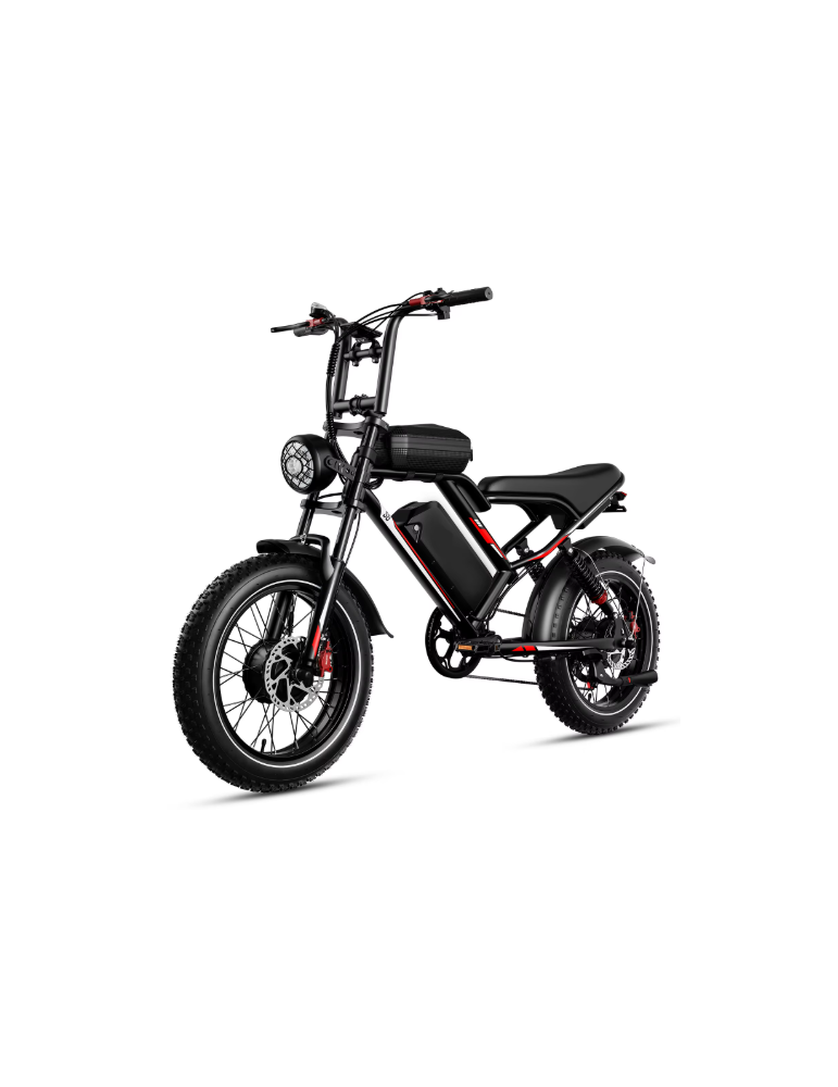 FAT BIKE S/8 48V 18AH