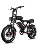 FAT BIKE S/8 48V 18AH