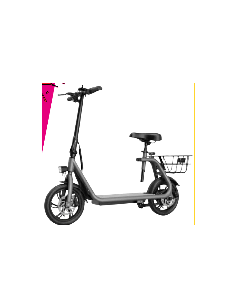 MONOPATTINO CON SELLINO E CESTINO POSTERIORE