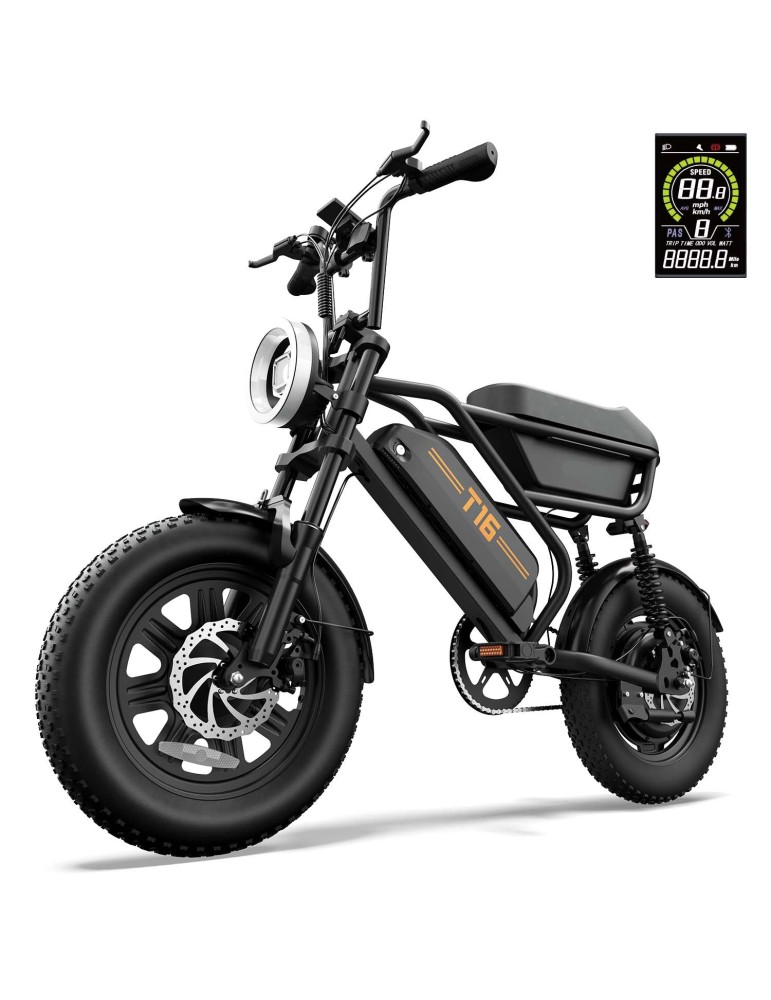 E-BIKE | URLIFE T16