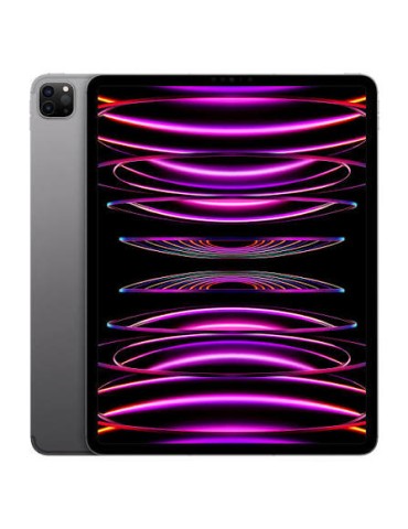 IPAD PRO 12,9″ | 6ª GENERAZIONE | Wi-Fi 256 GB | RICONDIZIONATO