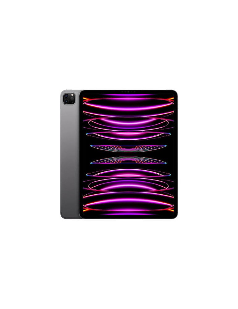 IPAD PRO 12,9″ | 6ª GENERAZIONE | Wi-Fi 256 GB | RICONDIZIONATO