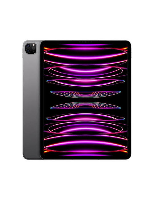 IPAD PRO 12,9″ | 6ª GENERAZIONE | Wi-Fi 256 GB | RICONDIZIONATO